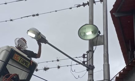 Néstor Reverol informa la instalación de 10.107 luminarias y 116 transformadores en todo el país