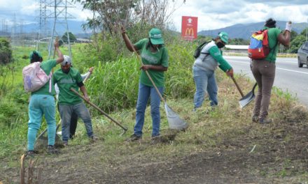 Continúan trabajos de limpieza y mantenimiento en diversos sectores del municipio Mariño