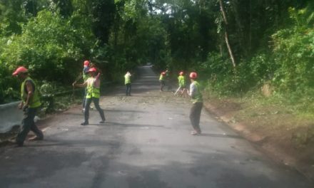 Ejecutivo regional realiza labores de limpieza de drenajes en carretera de Choroní