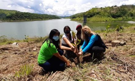 Gobierno de Aragua sembró 200 plantas en el embalse de Camatagua