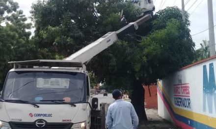 Optimizan suministro eléctrico en subestación y redes eléctricas de la parroquia Pedro José Ovalles
