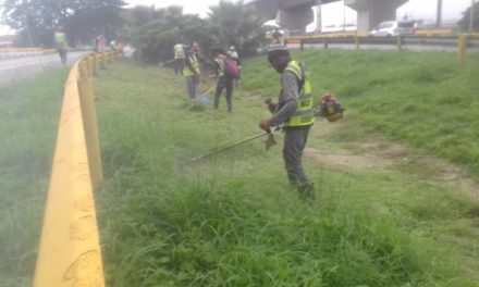 Gobierno Bolivariano de Aragua ejecuta labores de mantenimiento y limpieza en diversos espacios de la entidad
