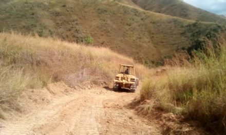 Gobierno de Aragua adelanta trabajos de Corta Fuegos mecanizados en Parque Henri Pittier