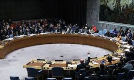 Cinco nuevos Estados se unen al Consejo de Seguridad de la ONU