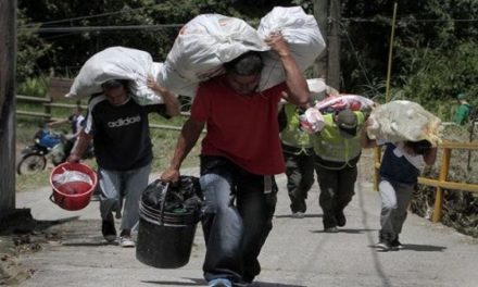 Llegan a ciudad colombiana de Cali más de 2.000 desplazados por choques armados