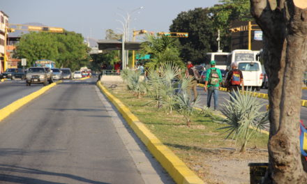 Alcaldía de Girardot despliega equipos de Mantenimiento Integral en las principales avenidas de Maracay