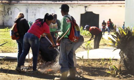 Gobierno regional reimpulsa labores de mantenimiento en parques de Aragua