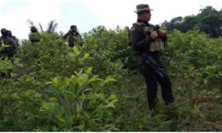Policía antinarcóticos hiere a un niño en Colombia