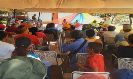 Plan Productivo de la Comuna contribuye al desarrollo económico en Aragua