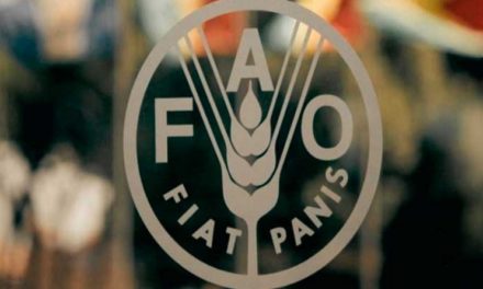 FAO realiza sesión extraordinaria sobre impacto de crisis en Ucrania