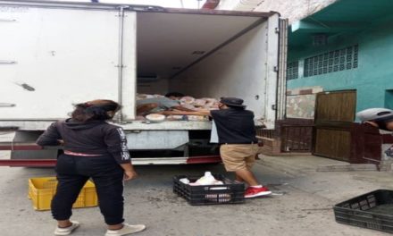 Plan de Distribución de Proteínas entregó más de 820 toneladas de alimentos a familias venezolanas