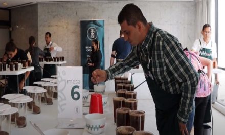 Catadores internacionales coinciden: cafés venezolanos tienen futuro en mercado mundial