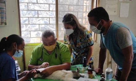 Misión Nevado Aragua promueve el bienestar y cuidado animal