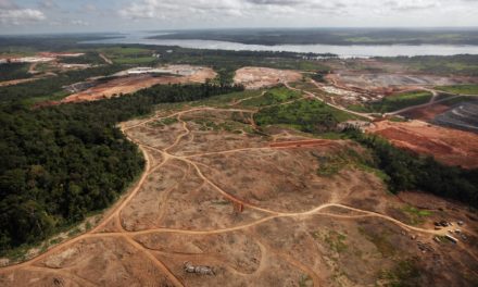Deforestación en la Amazonía de Brasil aumentó niveles récord para el mes de abril