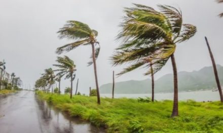 Ciclón Yakecan deja a 800 mil brasileños sin electricidad