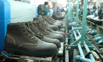 Actualización de Normas COVENIN potencia industria del calzado