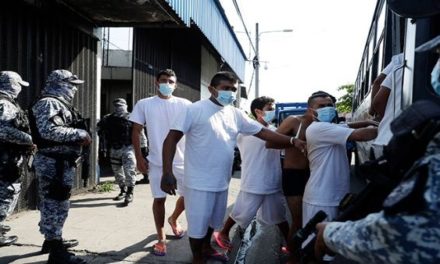 Reportan más de 330 violaciones de DD.HH. en El Salvador