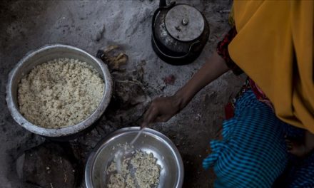 ONU señala alarmante aumento en estadísticas mundiales de hambruna