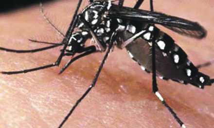 Vietnam instó a tomar medidas para frenar propagación del dengue
