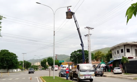 Alcaldía de Ribas colocó 72 lámparas LED en avenida Bicentenaria