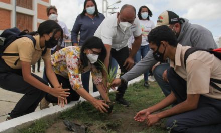 Arrancó plan de reforestación en el estado Aragua