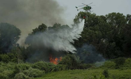 Seis fallecidos deja accidente de helicóptero en Estados Unidos
