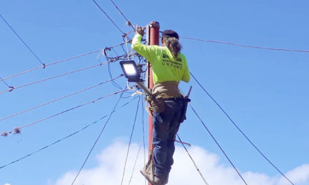 Trabajos de electrificación y alumbrado público avanzan en Revenga