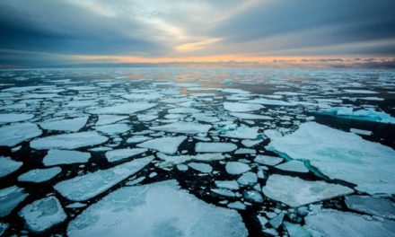 Científicos advierten calentamiento del Círculo Polar Ártico