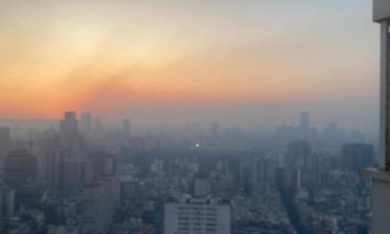 Más de 95 mil hectáreas quemadas dejan incendios en islas del delta del río Paraná