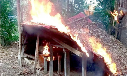 FANB desmanteló campamentos de irregulares en Delta del Orinoco
