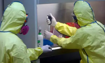 Sao Paulo anuncia plan sanitario de combate contra la viruela sistémica