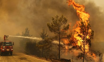 Más de cuatro mil hectáreas arrasadas por incendio forestales en Argentina