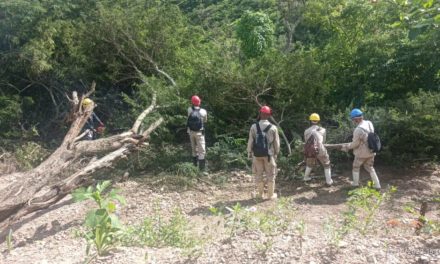 Cuadrillas intensifican labores de despeje y rescate en Las Tejerías