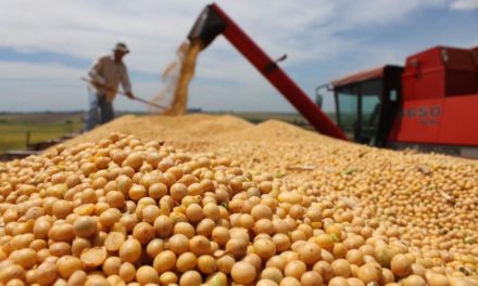 Bolivia autorizó exportaciones de soya y sus derivados