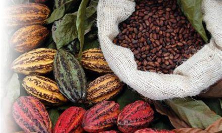 Cacao venezolano conquista los paladares en la feria Eurochocolate