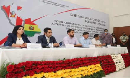 Bolivia y Perú coordinan acciones contra el narcotráfico