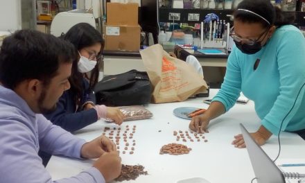 Inicia en México entrenamiento para el control de contaminantes en granos de cacao