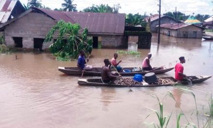 Inundaciones en Nigeria dejan hasta la fecha 612 muertos