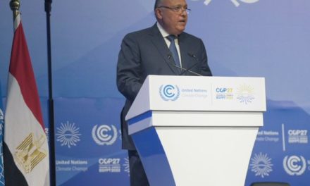 Egipto llama a implementar medidas para frenar el cambio climático