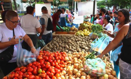 Feria de la carne y la verdura se desarrolló desde la plaza Sucre