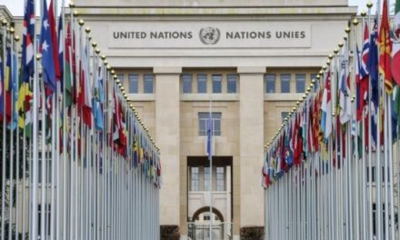 ONU solicita investigación por violaciones de DD.HH.