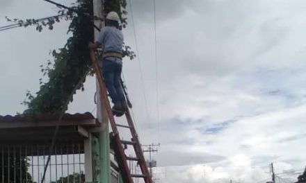 Cantv trabaja para restablecer servicios de telecomunicaciones en Sucre