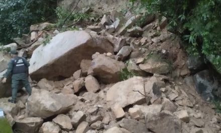 Despliegan maquinarias tras derrumbe en la carretera de Choroní