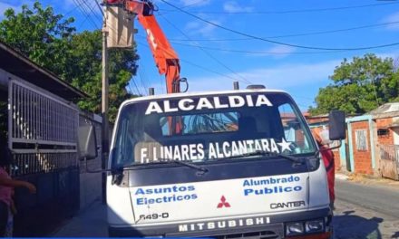 Rehabilitaron luminarias en el sector Los Jabillos de Francisco Linares Alcántara