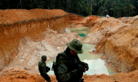 Venezuela empezó plan de reforestación en zonas afectadas por minería ilegal