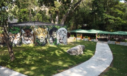 Zoológico Las Delicias de Maracay es el primer centro de conservación de flora y fauna en Aragua