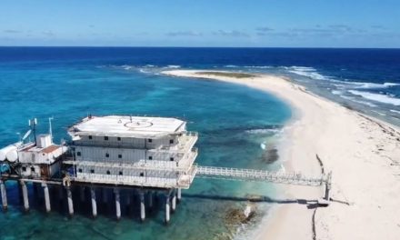 Evalúan condiciones de Base Científico Naval Simón Bolívar en Isla de Aves