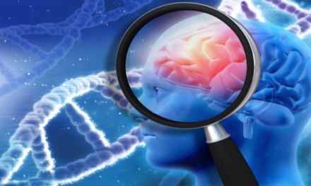 Nuevos genes relacionados con la esquizofrenia son identificados
