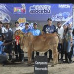 Con éxito se celebró la 46° Feria Nacional del Cebú y Sus Cruces en Maracay