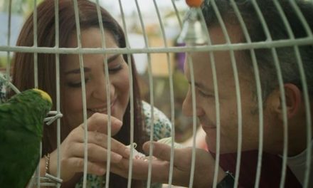 «Qué Buena Broma, Bromelia» cerrará el 17ª Festival «Venezuela im Film-Qué chévere»